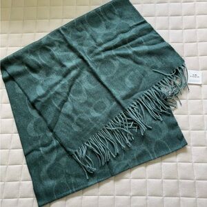 Coach Women’s Teal Fringed Scarf
